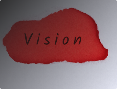 Our Vision